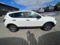Nissan Qashqai+2 Qashqai Visia/Klima/Temp./ZV/Eu5/TÜV NEU/2Ha/ Bianco - thumbnail 4