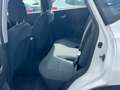 Nissan Qashqai+2 Qashqai Visia/Klima/Temp./ZV/Eu5/TÜV NEU/2Ha/ Bianco - thumbnail 11