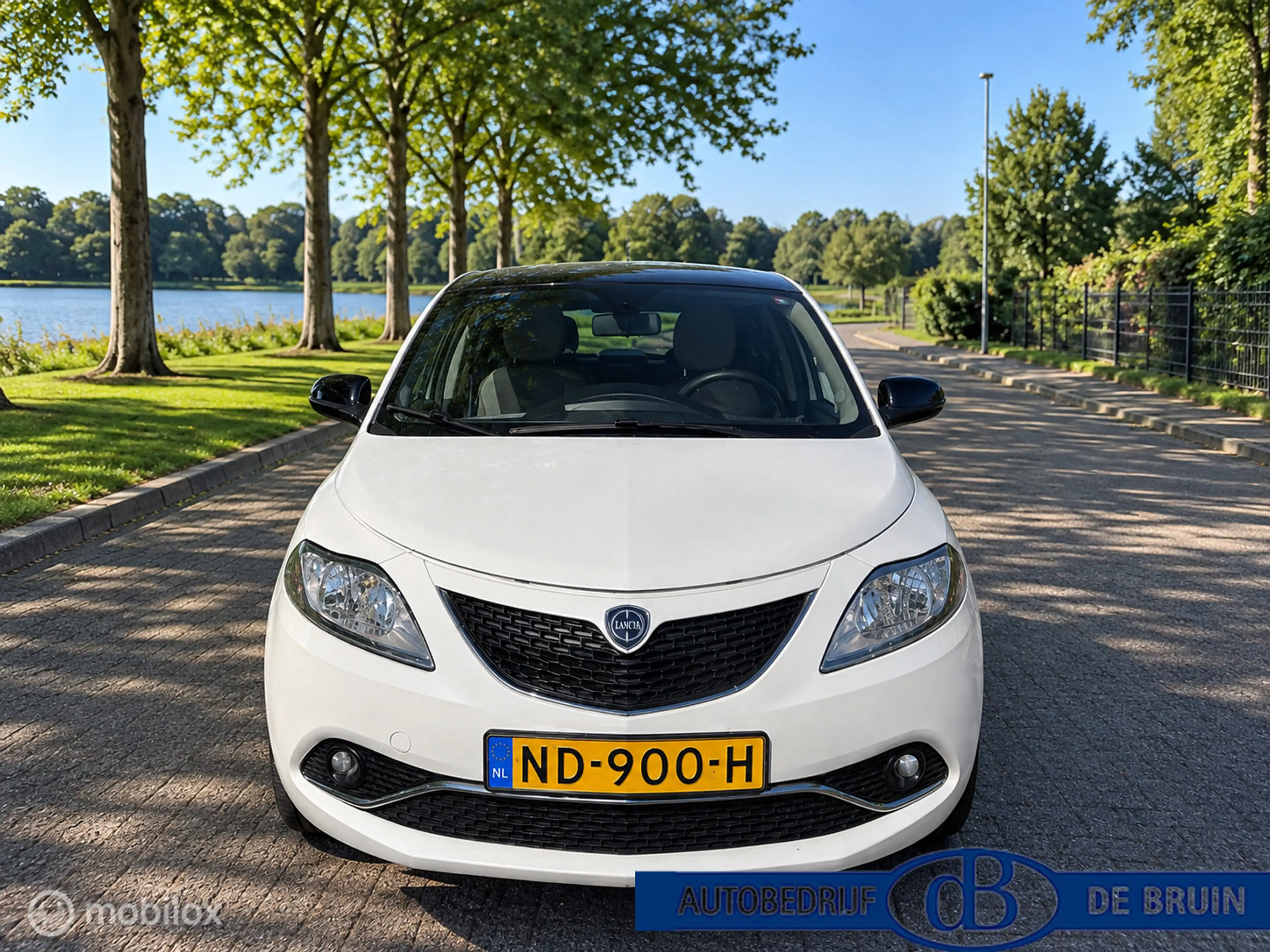 Lancia Ypsilon 0.9 TwinAir Platinum Automaat — photo 3