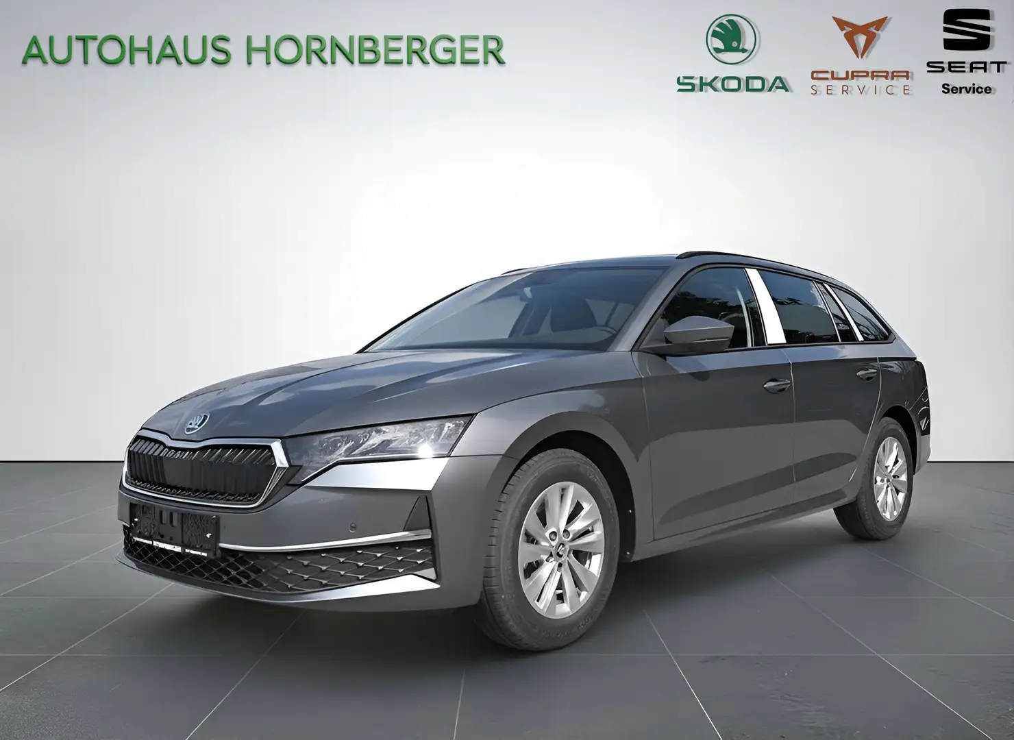 Skoda Octavia Selection 1.5TSI mHEV 115PS LED 16"Alu Limiter PDC Grau - 1