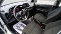 Kia Picanto Picanto III 1.0 dpi Urban amt Bianco - thumbnail 6