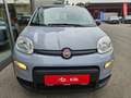 Fiat Panda Firefly Hybrid 70 City Life Blau - thumbnail 4