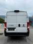 Fiat Ducato L4H2 Weiß - thumbnail 6