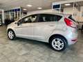 Ford Fiesta 5p 1.4 Titanium Gpl 95cv E6 Argento - thumbnail 4