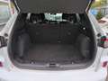 Ford Kuga ST-Line X Allrad Automatik AHK HUD Navi  LED City Wit - thumbnail 7