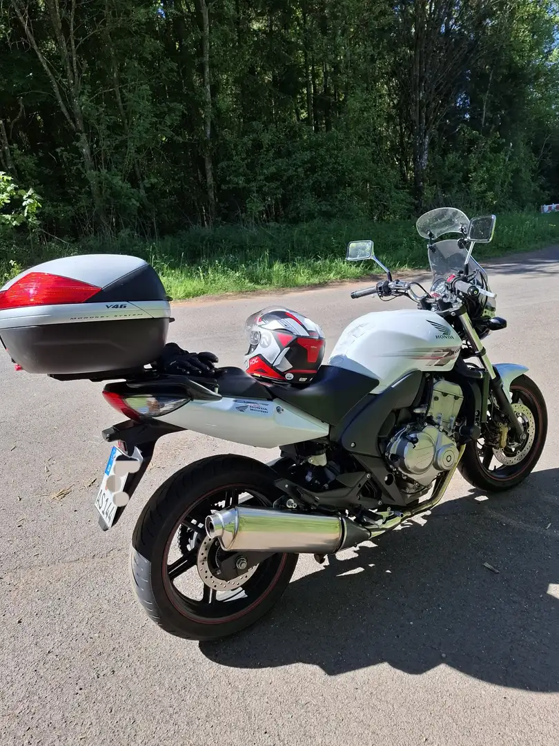 Honda CBF 600 Alb - 1