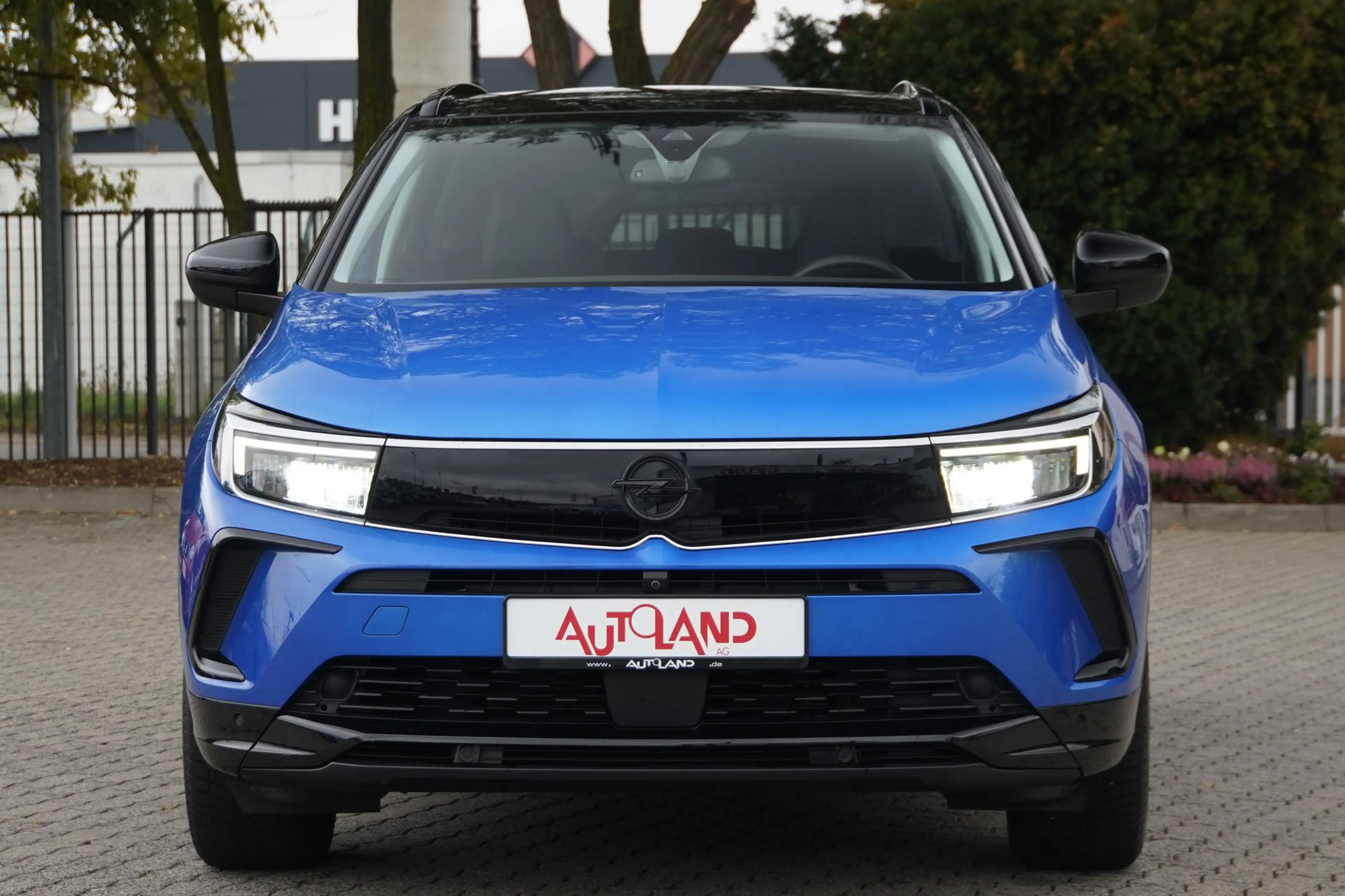 Opel Grandland 1.2 Elegance — photo 9