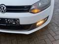 Volkswagen Polo V Style Weiß - thumbnail 11