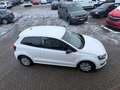 Volkswagen Polo V Style Weiß - thumbnail 14