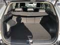 Kia Sportage Spirit 1.6T DCT Drive-Wise-Park-Plus-Paket Grau - thumbnail 21