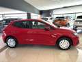 SEAT Ibiza 1.0 TGI 5p. Reference Rosso - thumbnail 4