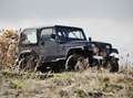 Jeep Wrangler YJ 4.0L 6 cylindres - 135kW Gris - thumbnail 4