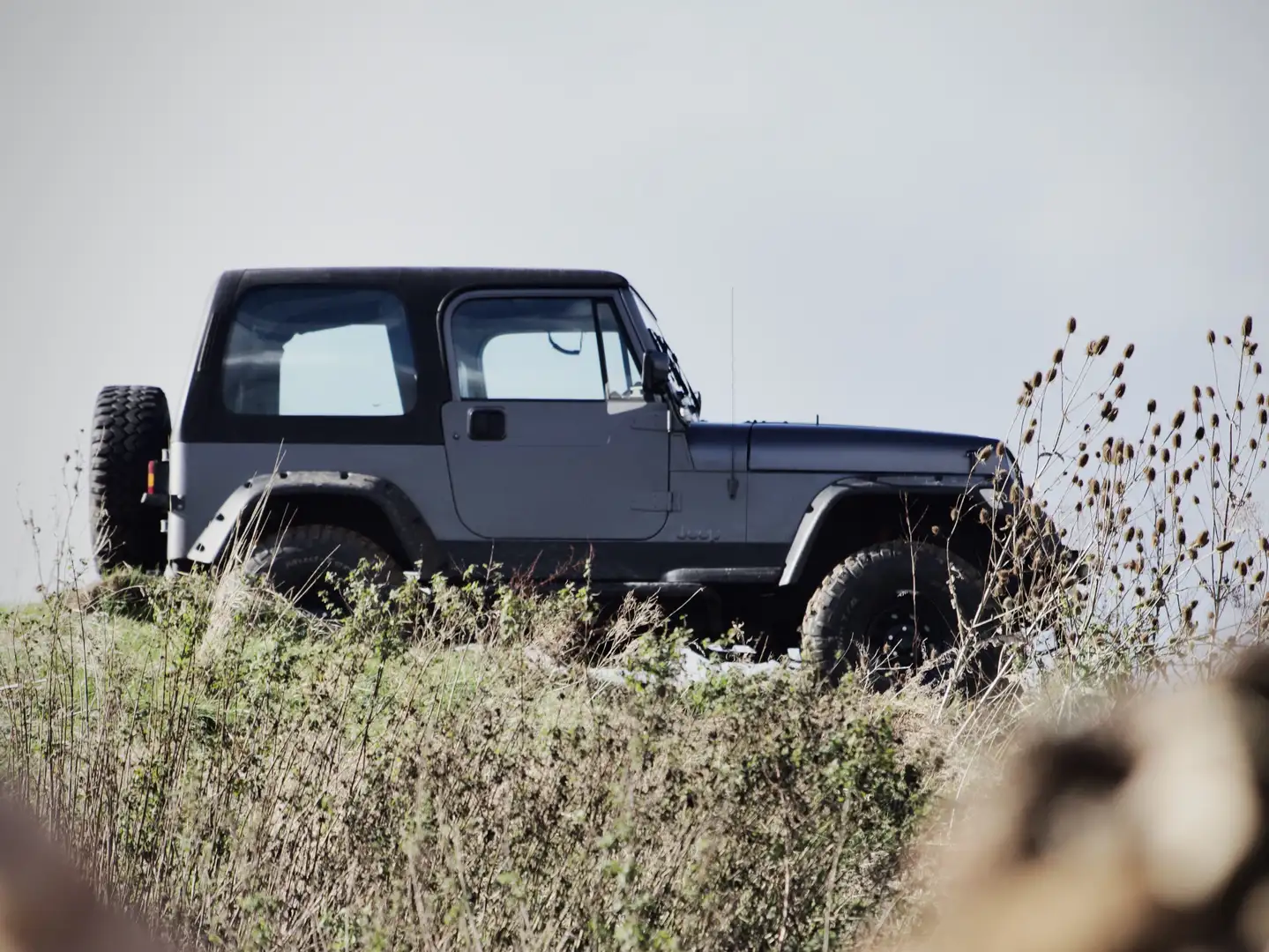 Jeep Wrangler YJ 4.0L 6 cylindres - 135kW Gris - 2