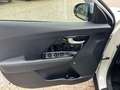 Kia Niro 1.6 GDi DCT HEV Energy Bianco - thumbnail 9