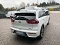 Kia Niro 1.6 GDi DCT HEV Energy Bianco - thumbnail 5