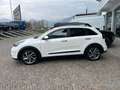 Kia Niro 1.6 GDi DCT HEV Energy Bianco - thumbnail 3