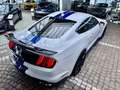 Ford Mustang Shelby GT 500 1.Hd+Unfallfrei+Scheckheft Weiß - thumbnail 7