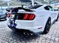 Ford Mustang Shelby GT 500 1.Hd+Unfallfrei+Scheckheft Blanc - thumbnail 6