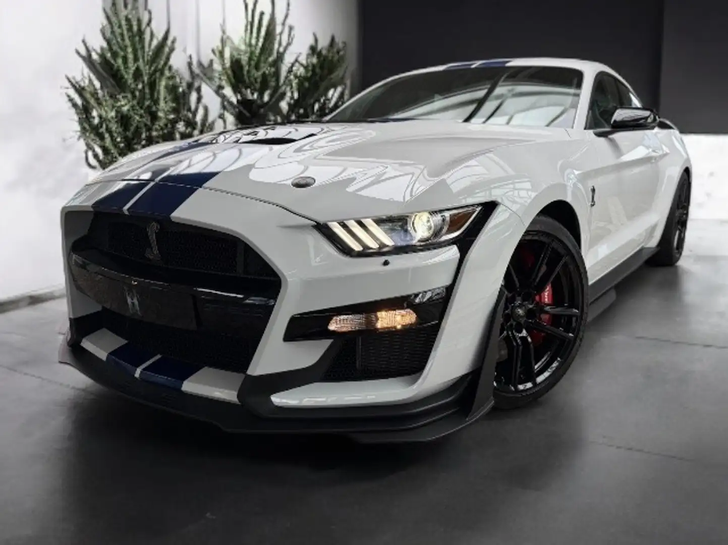 Ford Mustang Shelby GT 500 1.Hd+Unfallfrei+Scheckheft Blanc - 1