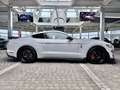 Ford Mustang Shelby GT 500 1.Hd+Unfallfrei+Scheckheft Blanc - thumbnail 14