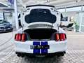 Ford Mustang Shelby GT 500 1.Hd+Unfallfrei+Scheckheft Blanco - thumbnail 24
