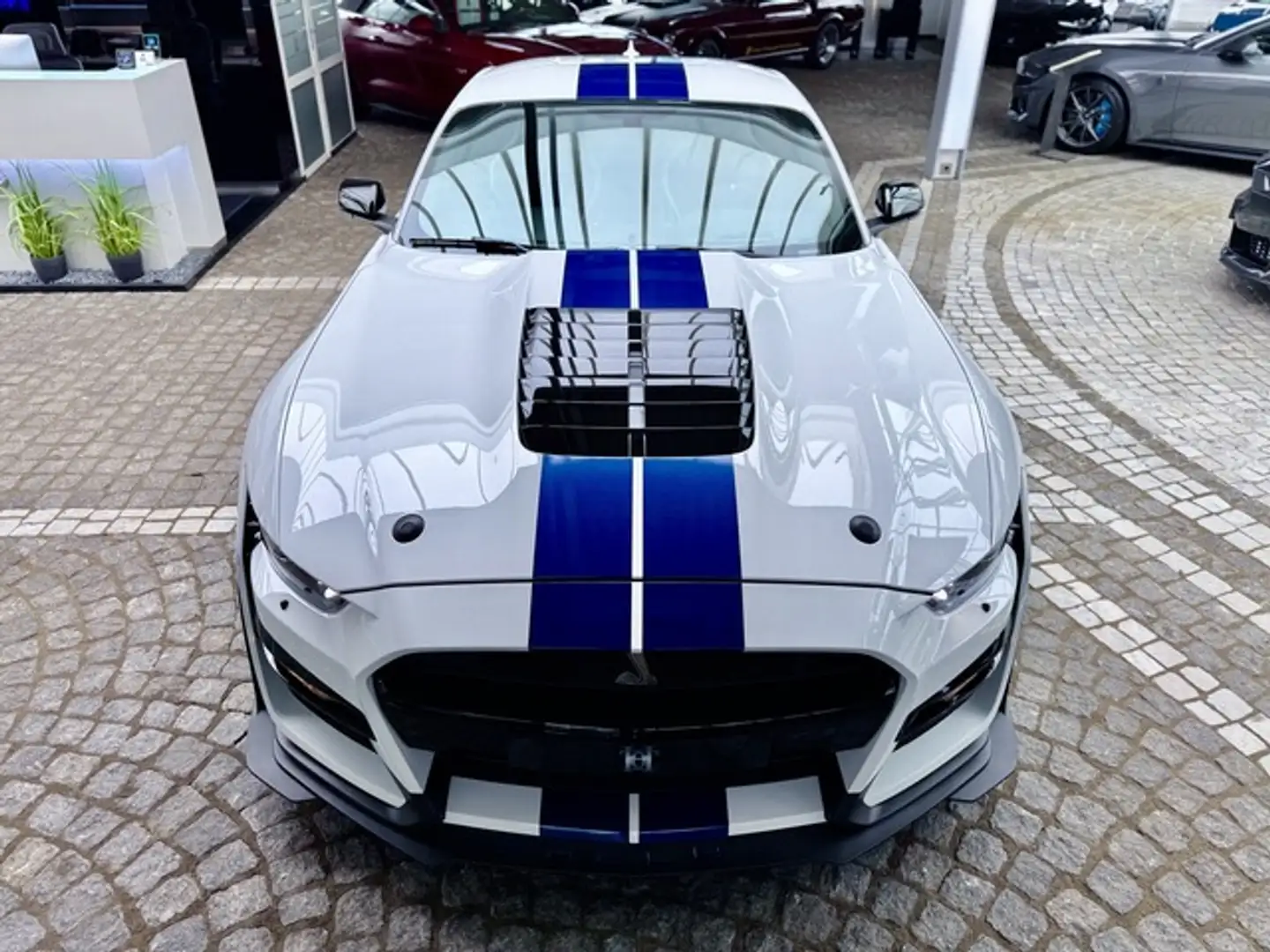 Ford Mustang Shelby GT 500 1.Hd+Unfallfrei+Scheckheft Blanco - 2