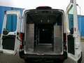 Ford Transit Kasten 350 L3 Trend Sortimo Regale ! Blanc - thumbnail 10