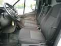 Ford Transit Kasten 350 L3 Trend Sortimo Regale ! Blanc - thumbnail 7