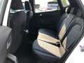 SEAT Arona 1.0 EcoTSI XPERIENCE OK NEOPATENTATI Blanc - thumbnail 11