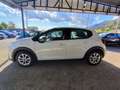 Citroen C3 C3 1.5 bluehdi 100 ses VAN Bianco - thumbnail 1