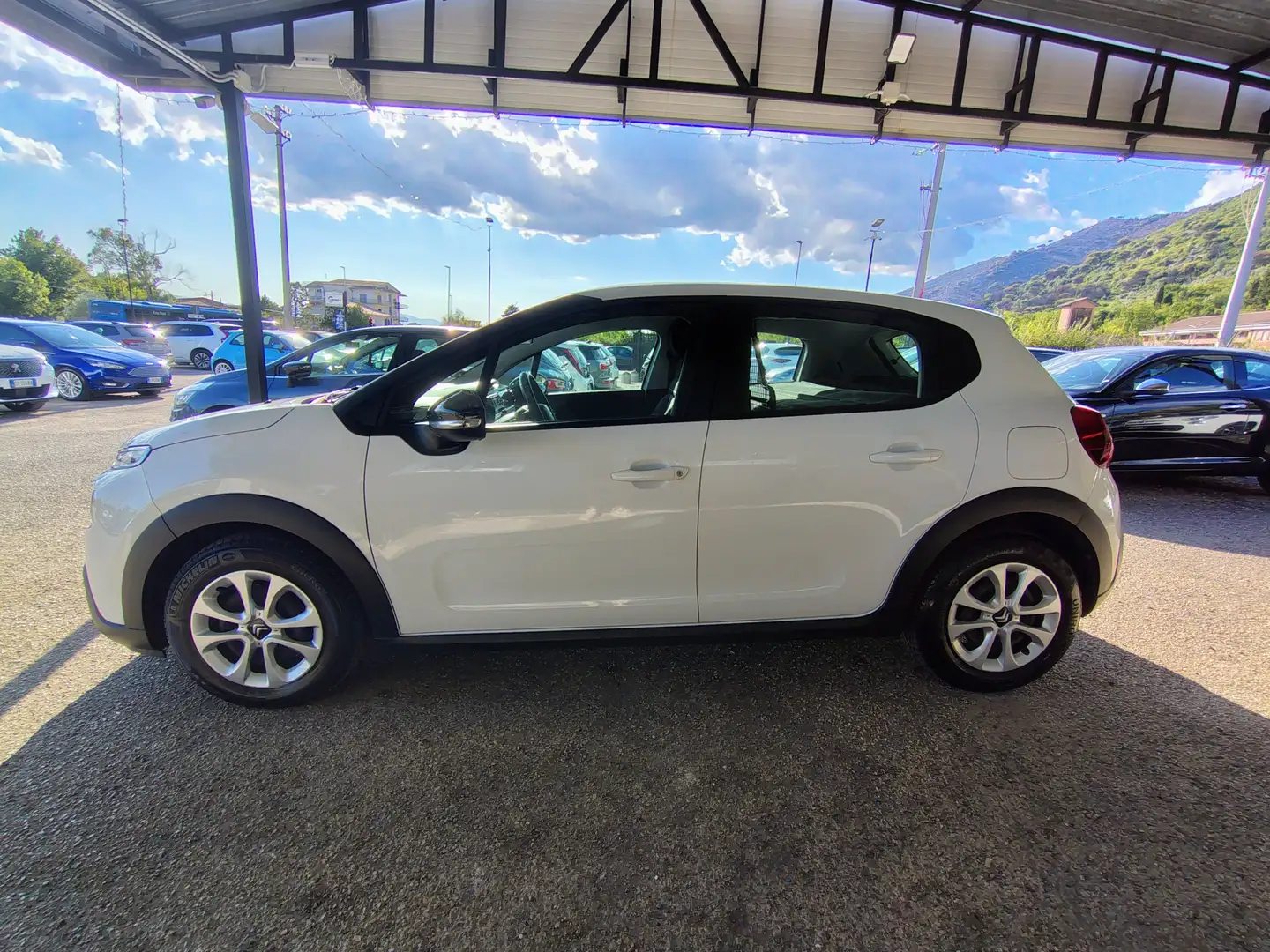Citroen C3 C3 1.5 bluehdi 100 ses VAN Bianco - 1