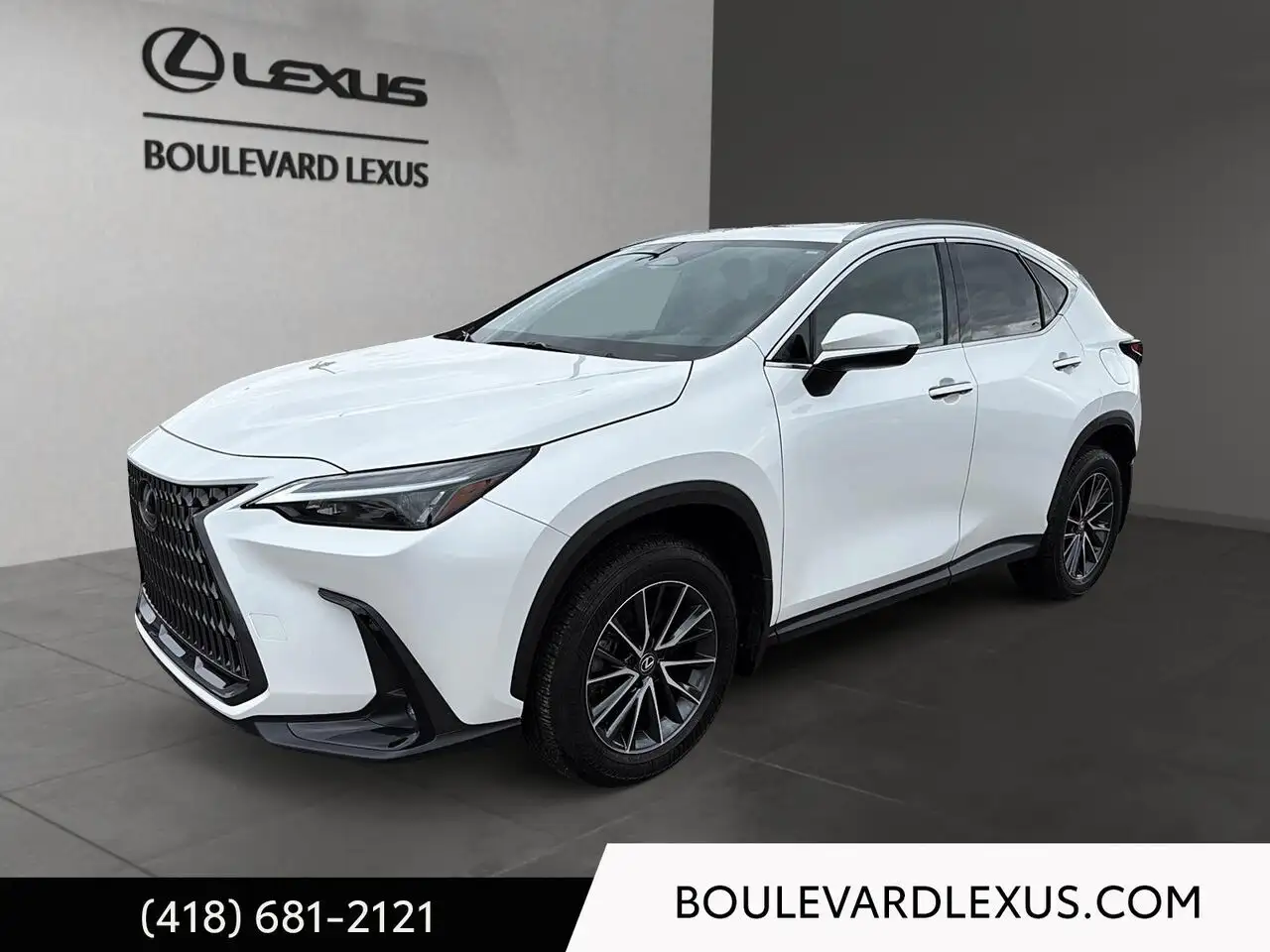 2024 Lexus NX