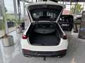Mercedes-Benz GLC 220 d 4Matic AMG Line AMG+MBUX+DIGITAL LIGHT Blanc - thumbnail 12
