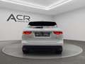 Jaguar F-Pace F-PACE R-Sport AWD*PANO*KAMERA*BLACK PACK Blanc - thumbnail 6