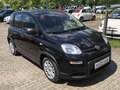 Fiat Panda MY24 1.0 Klima PDC Komfortpaket Zwart - thumbnail 2
