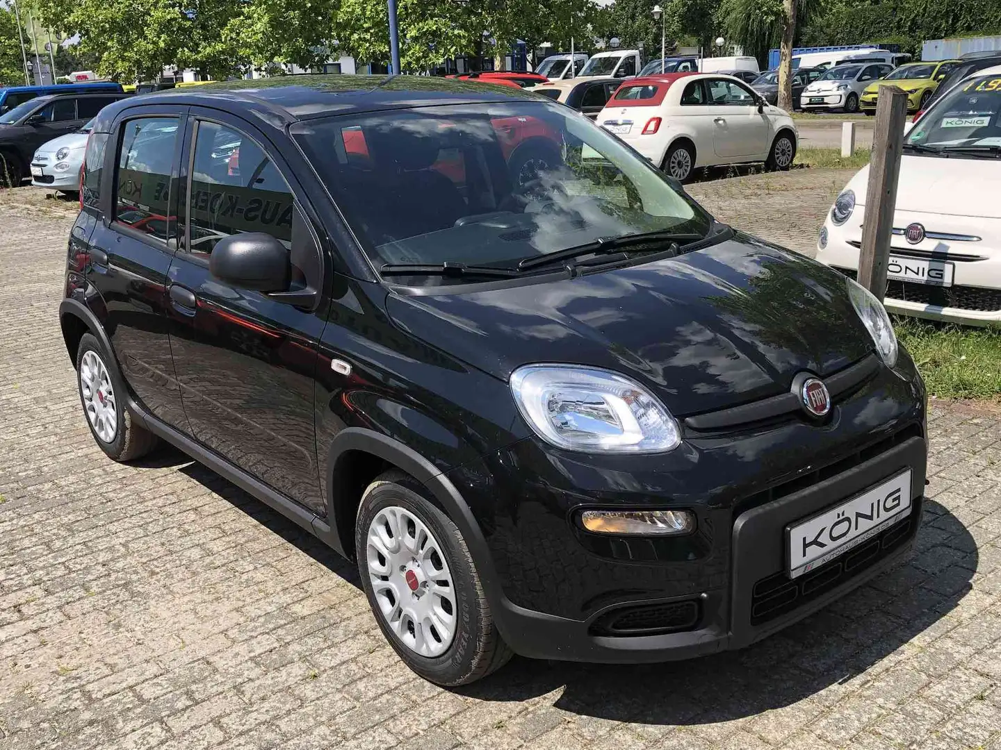 Fiat Panda MY24 1.0 Klima PDC Komfortpaket Zwart - 2