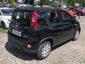 Fiat Panda MY24 1.0 Klima PDC Komfortpaket Schwarz - thumbnail 3