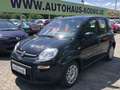 Fiat Panda MY24 1.0 Klima PDC Komfortpaket Schwarz - thumbnail 1