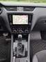 Skoda Octavia Scout 2,0 TDI 4x4 DSG - thumbnail 1