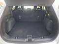 Ford Kuga FHEV Titanium X Autom. Erstbesitz NP € 47.272,- Weiß - thumbnail 23
