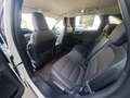 Ford Kuga FHEV Titanium X Autom. Erstbesitz NP € 47.272,- Weiß - thumbnail 20