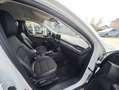 Ford Kuga FHEV Titanium X Autom. Erstbesitz NP € 47.272,- Weiß - thumbnail 32