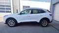 Ford Kuga FHEV Titanium X Autom. Erstbesitz NP € 47.272,- Weiß - thumbnail 2