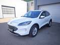 Ford Kuga FHEV Titanium X Autom. Erstbesitz NP € 47.272,- Weiß - thumbnail 1