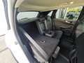 Ford Kuga FHEV Titanium X Autom. Erstbesitz NP € 47.272,- Weiß - thumbnail 29
