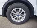 Ford Kuga FHEV Titanium X Autom. Erstbesitz NP € 47.272,- Weiß - thumbnail 37