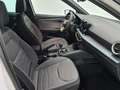 SEAT Arona 1.0 TSI S&S Xperience DSG7 XS 115 Blanco - thumbnail 5