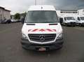 Mercedes-Benz Sprinter 316 cdi Hoch+Lang+Standhzg+Klima+Holzboden+Kasten Weiß - thumbnail 3