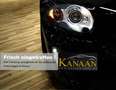 Ford Transit /Tourneo 8-Sitzer Custom L2 Titanium Silber - thumbnail 18