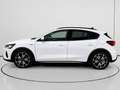 Ford Focus 1.0 Ecoboost MHEV Active 155 Blanco - thumbnail 6
